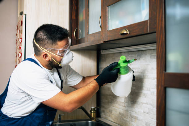 Best Best Pest Control Companies  in Oakland City, IN