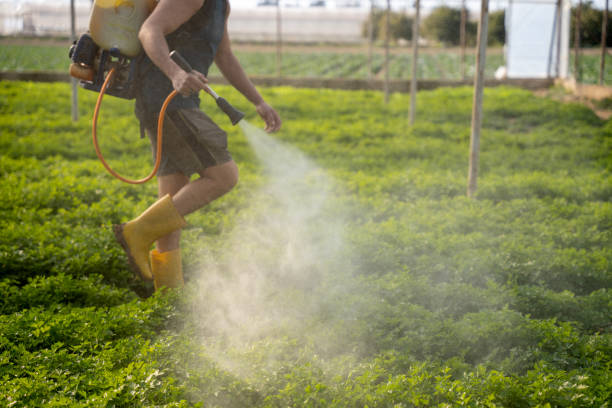 Trusted Oakland City, IN Pest Control Experts