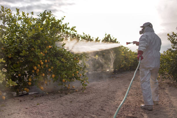 Best Pest Control for Businesses  in Oakland City, IN